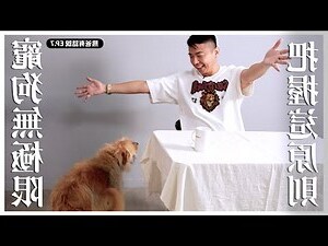 生小孩 養寵物